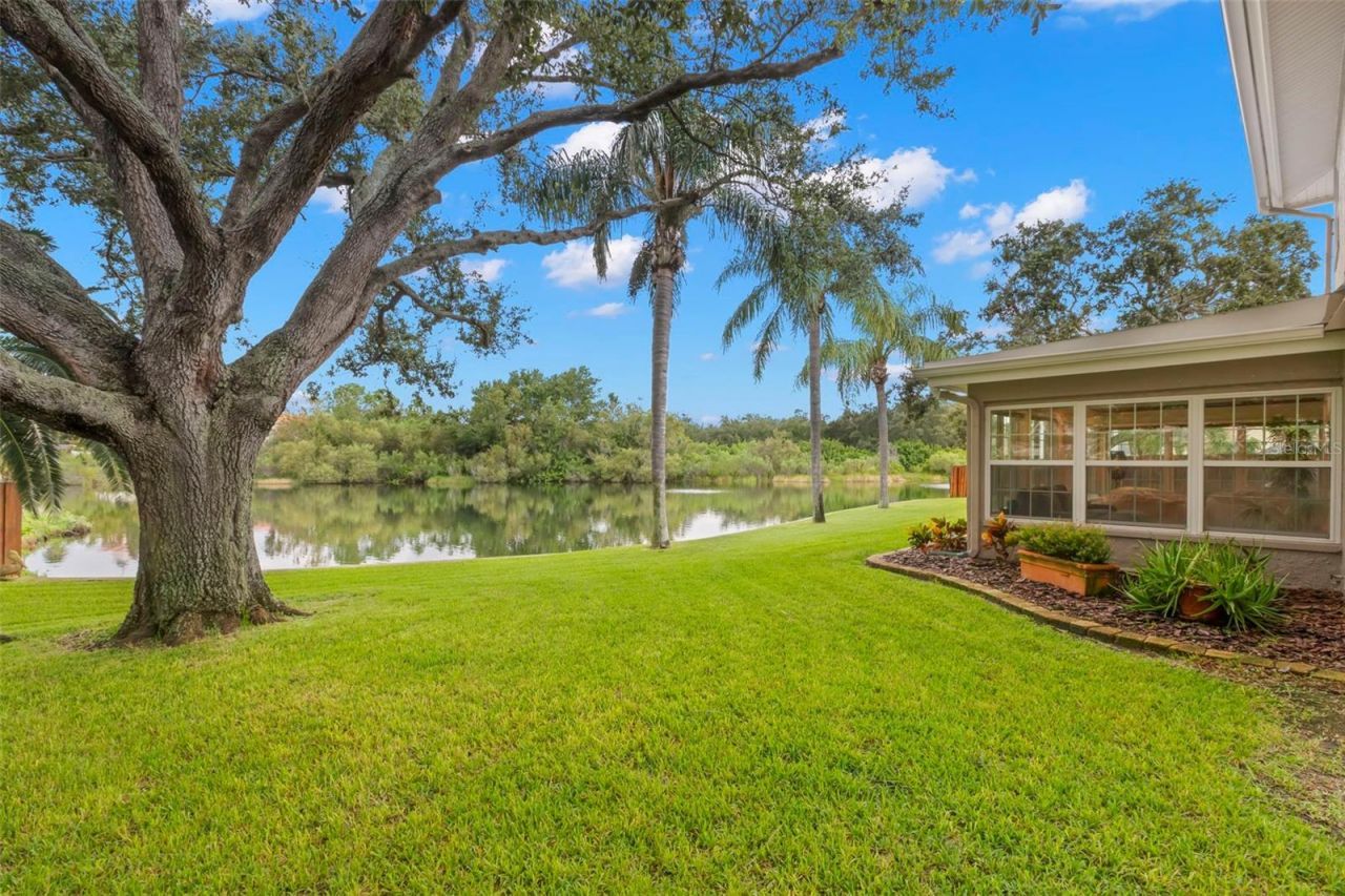 1747 87th Terrace N, Saint Petersburg, FL 33702 Photo