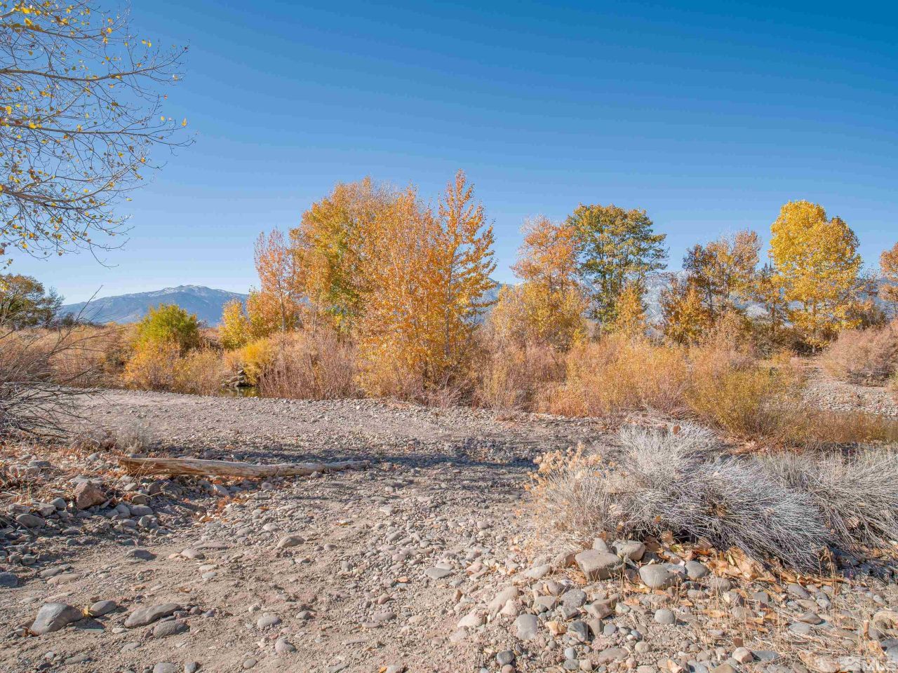 1300 Centerville Lane, Gardnerville, NV 89410 Photo