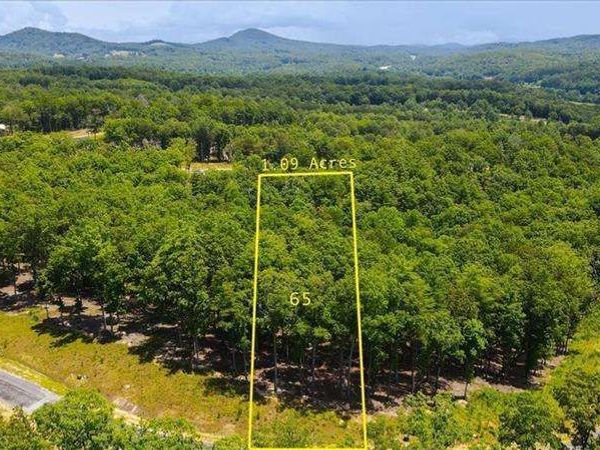 0 Ridge Drive, Unit LOT #65, Morganton, GA 30560