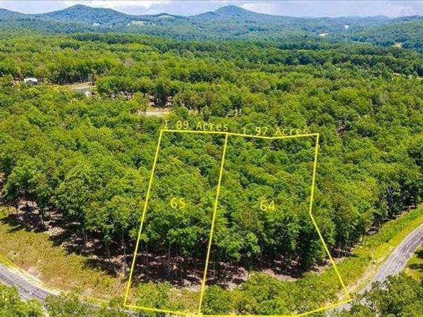 0 Ridge Drive, Morganton, GA 30560