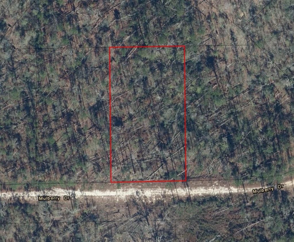 0 Mulberry Drive, Marianna, FL 32448 Photo