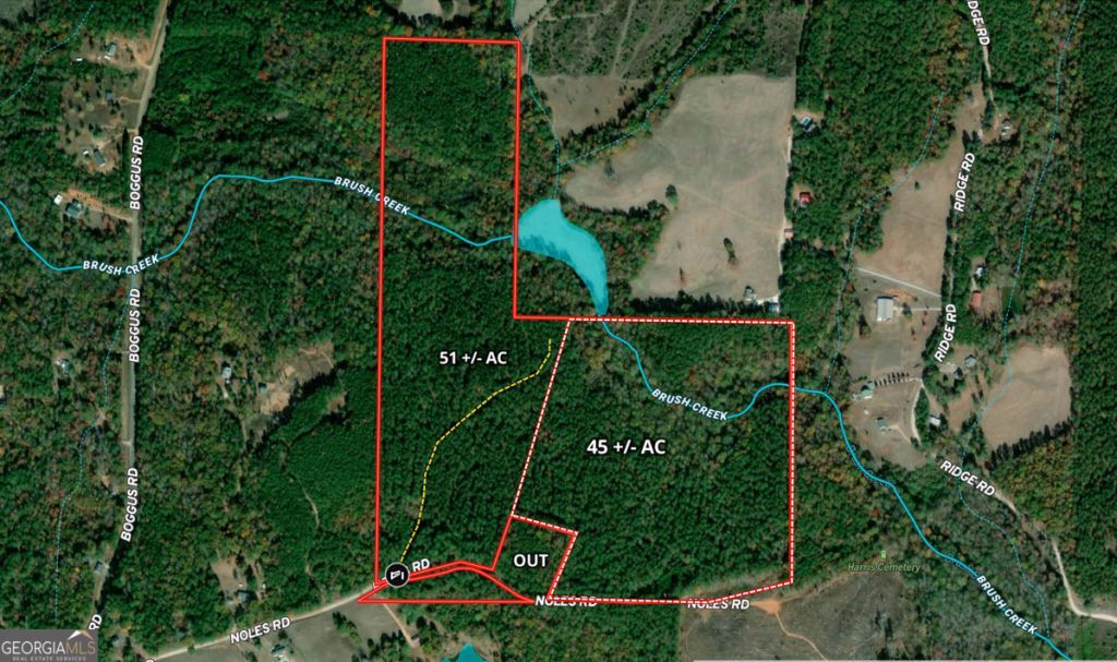 51+/- Ac Noles Road, Franklin, GA 30217 Main Photo