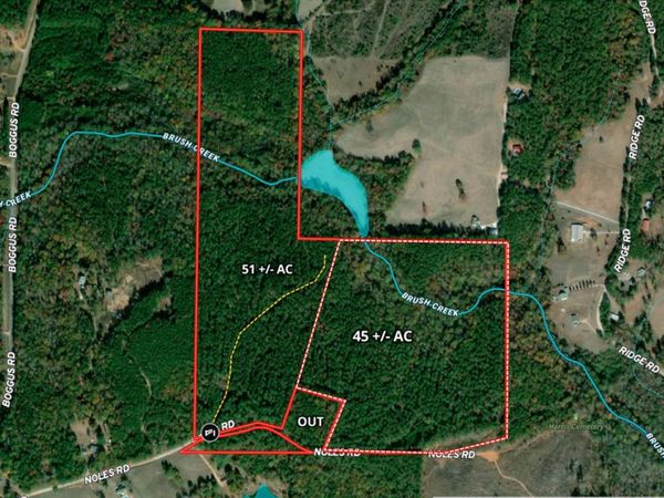 51+/- AC Noles Road, Franklin, GA 30217