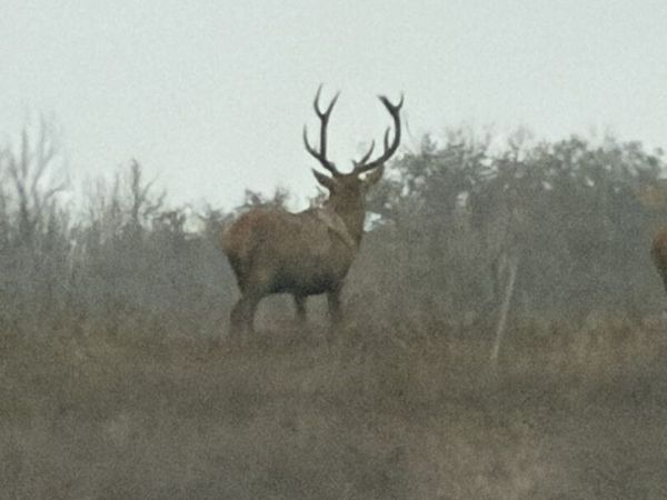 1 Utopia Forest, Dhanis, TX 78850