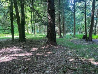 State Route 244, Belmont, NY 14813