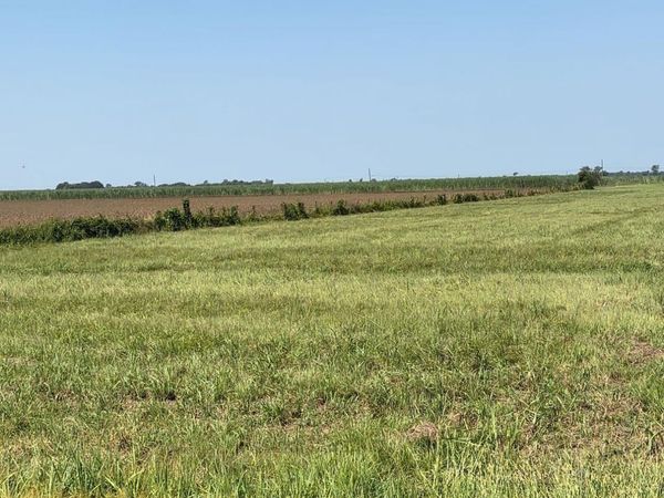 1225 Plumwood St, Port Allen, LA 70767