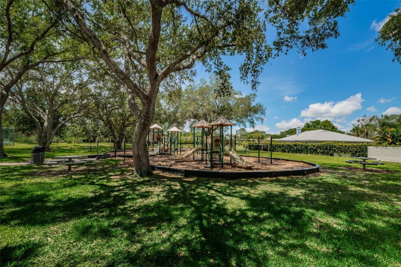 14009 Middleton Way, Tampa, FL 33624 Photo