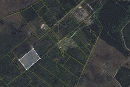 000 Misty Ridge Lane photo 4