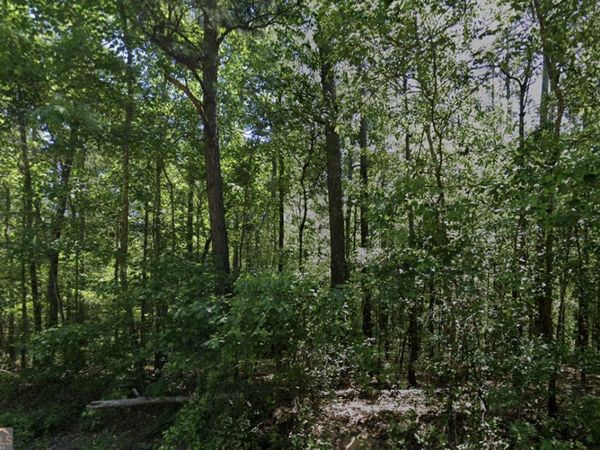 0 Howard Road, Roberta, GA 31078