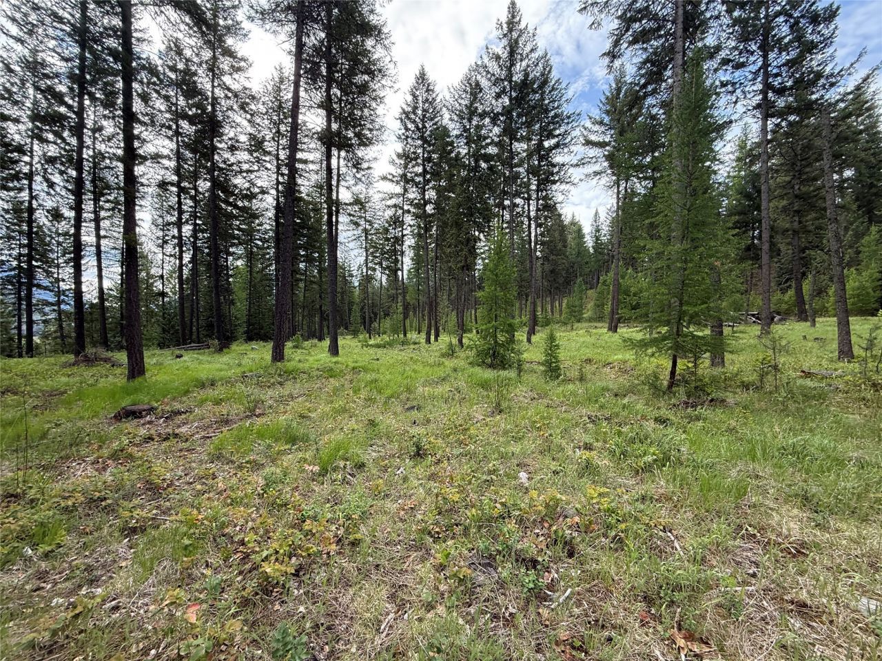 Parcel A Kootenai Drive, Troy, MT 59935 Main Photo