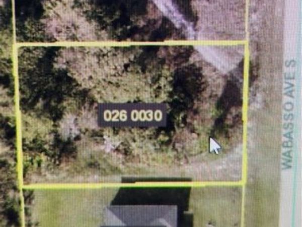 544 Wabasso AVE S, LEHIGH ACRES, FL 33974