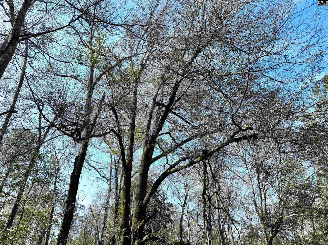 0000 Salley Road Photo 11