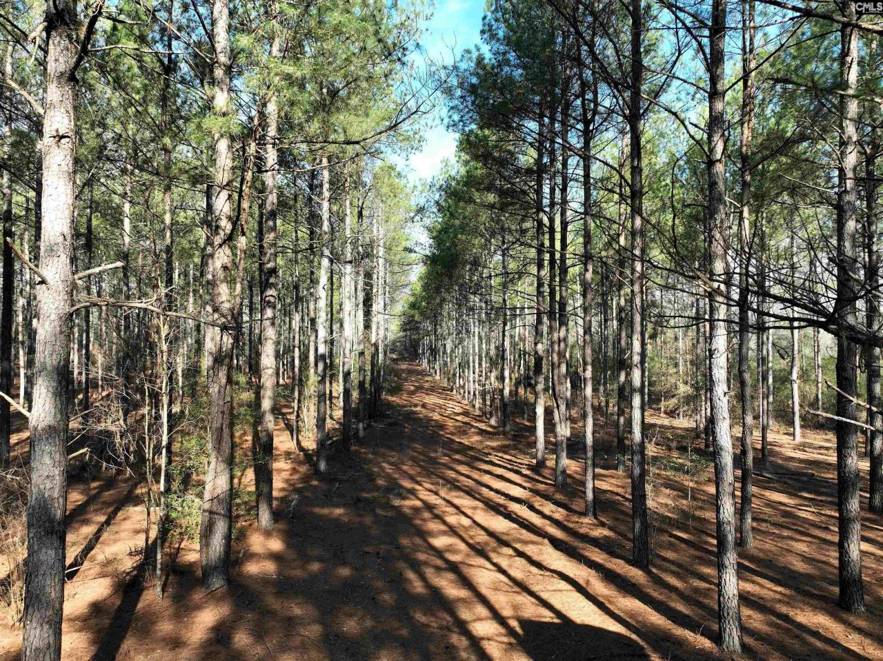 0000 Salley Road Photo 14