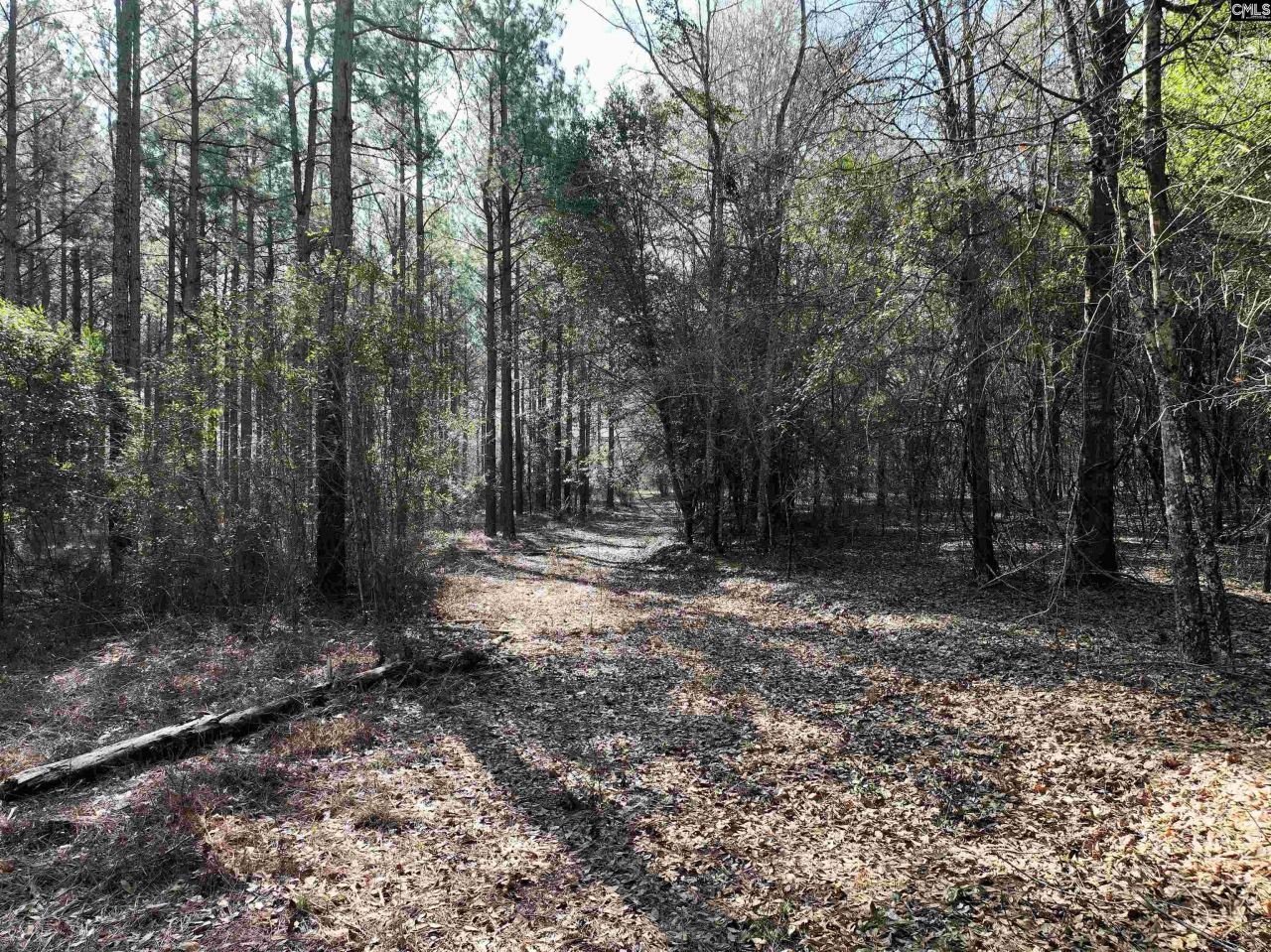 0000 Salley Road Photo 20