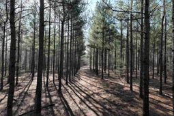 0000 Salley Road photo 4