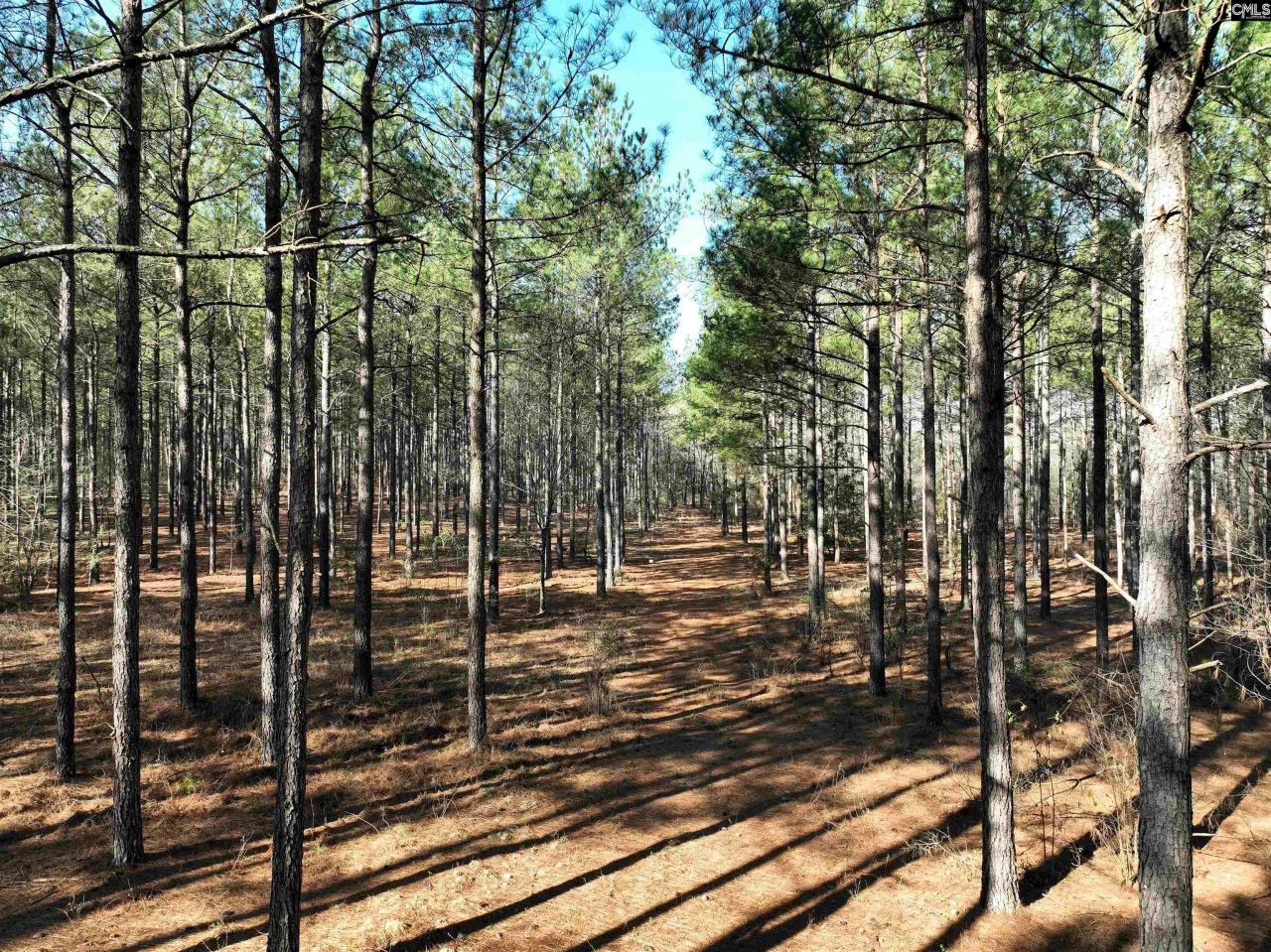 0000 Salley Road Photo 4