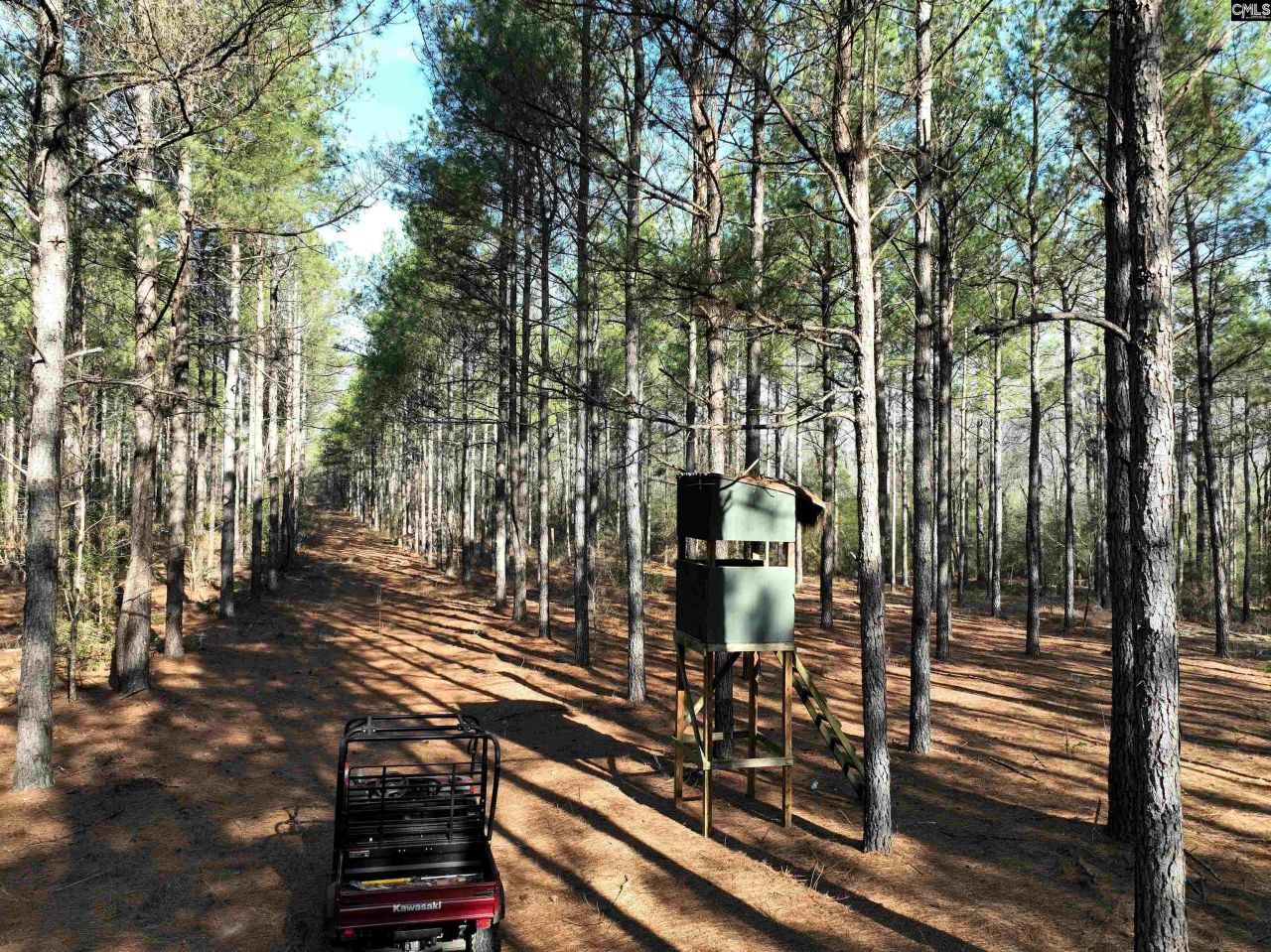 0000 Salley Road Photo 5