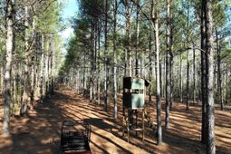 0000 Salley Road photo 4