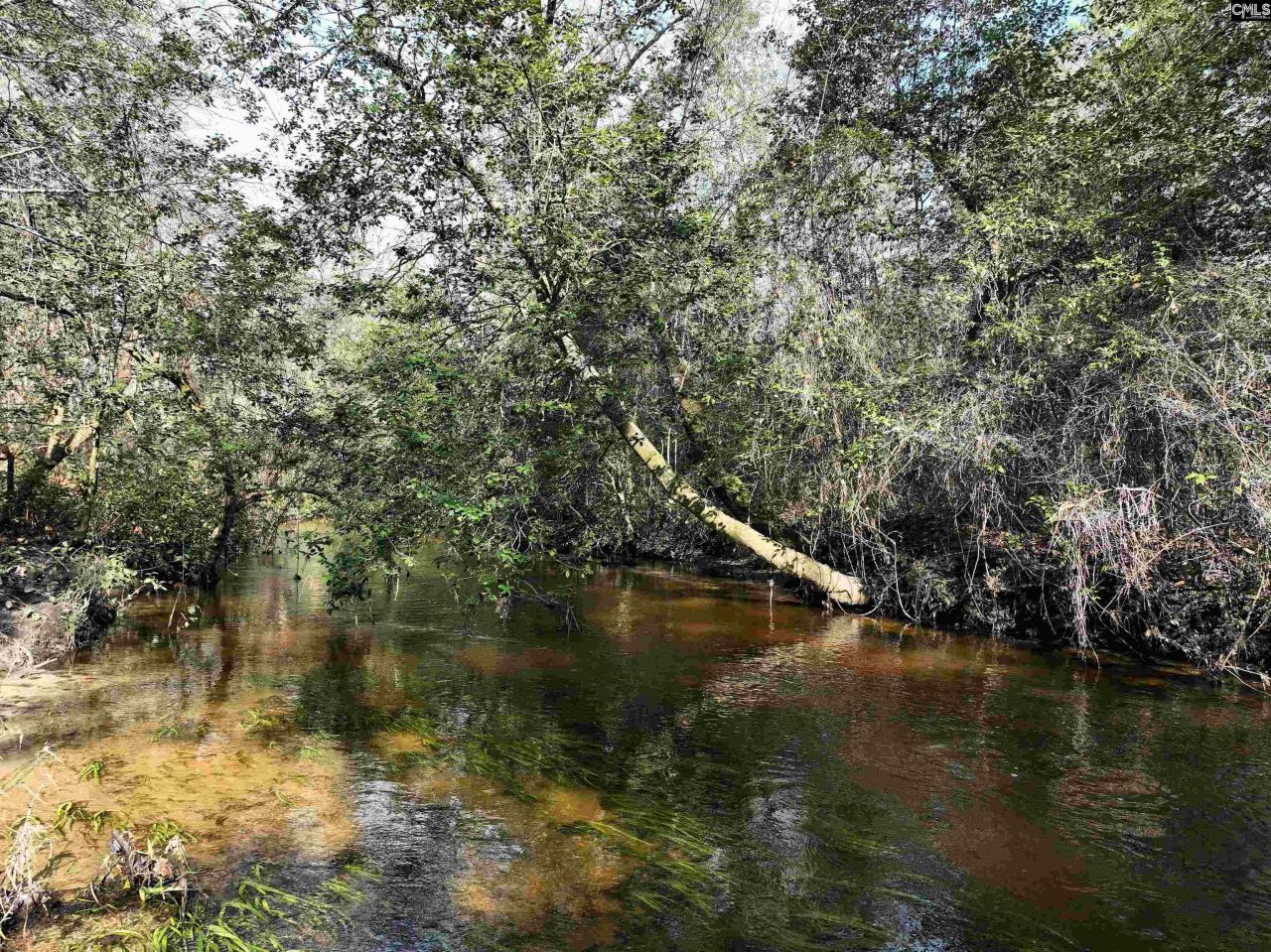 0000 Salley Road Photo 7