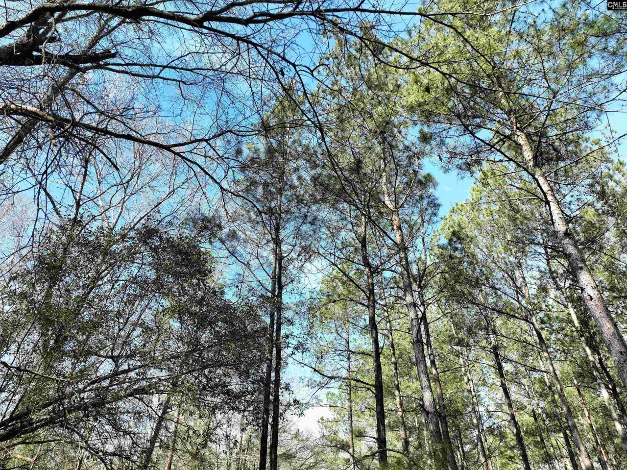 0000 Salley Road Photo 9