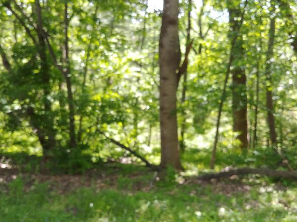 7248 Carriage Hills DR, Roanoke, VA 24018