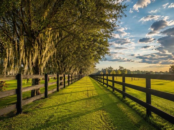 26209 SW Jockeys Run, Okeechobee, FL 34974