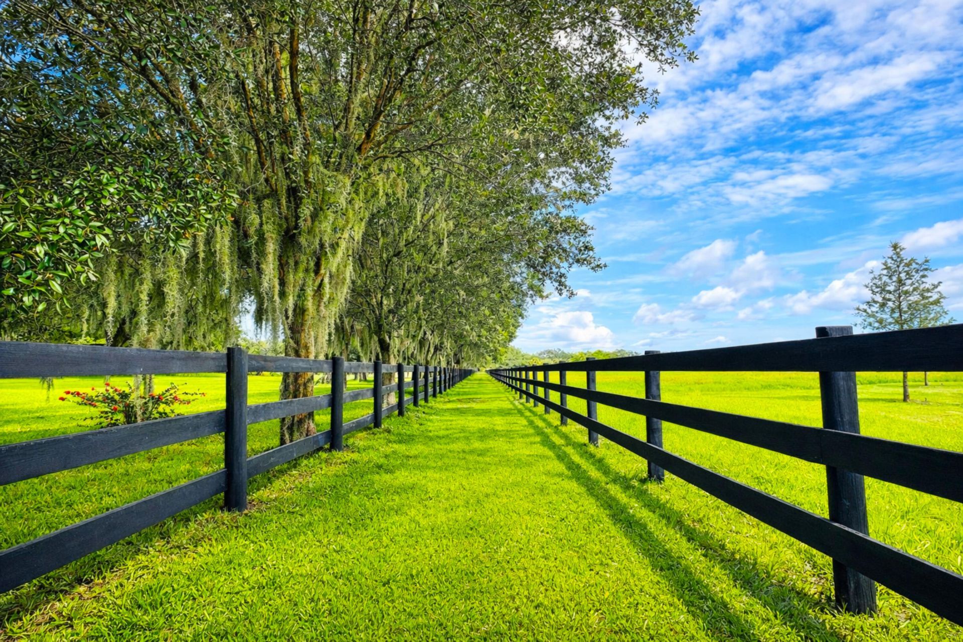 26209 SW Jockeys Run Run, Okeechobee, FL 34974 Photo