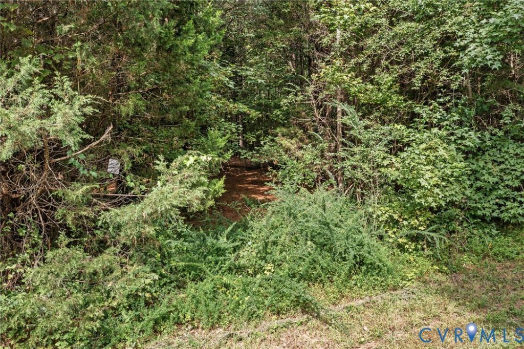 Tbd Timberneck Drive, Surry, VA 23883 Main Photo