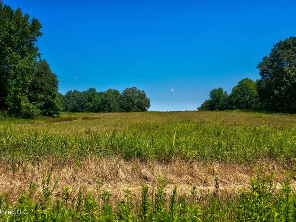 2 Church Road, Walls, MS 38680