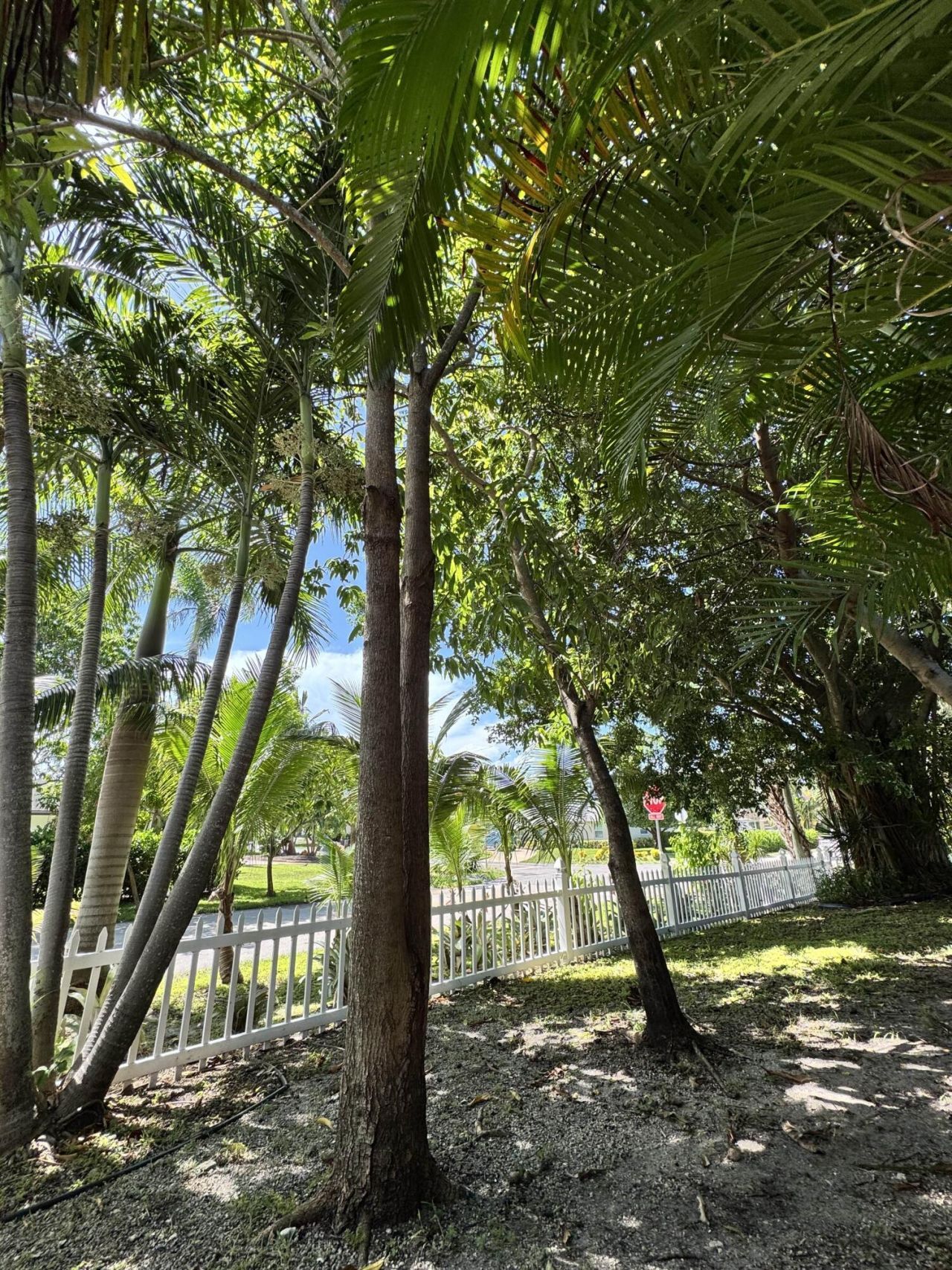 2802 SW 4th Street, Boynton Beach, FL 33435 Photo