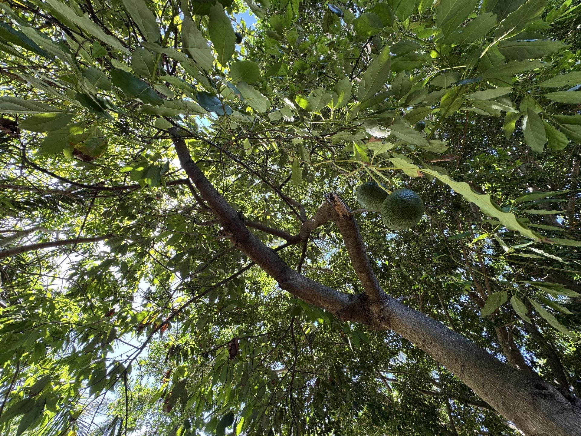 2802 SW 4th Street, Boynton Beach, FL 33435 Photo