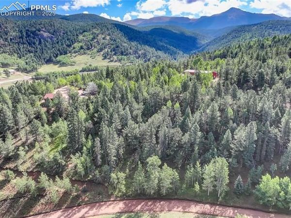 490 Willow Road, Divide, CO 80814