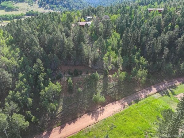 490 Willow Road, Divide, CO 80814