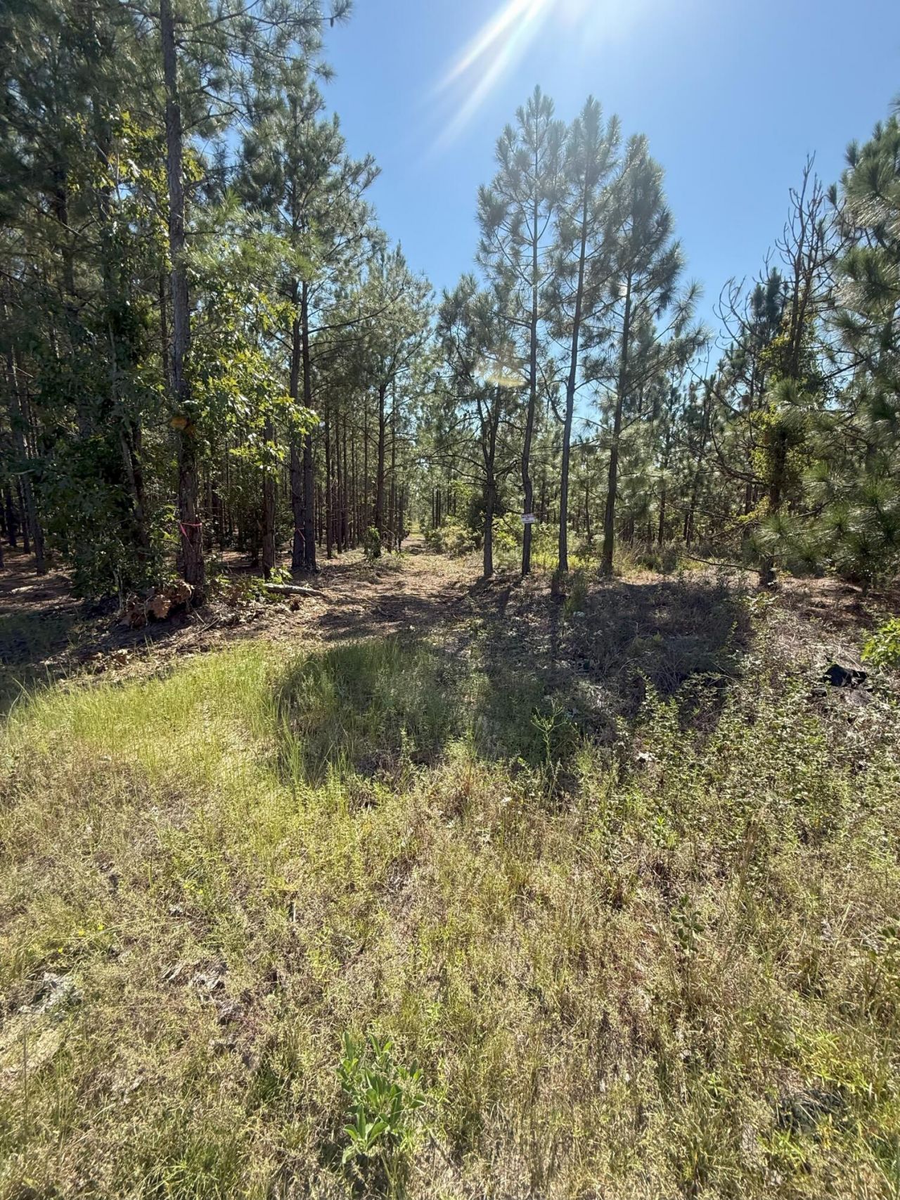 Kf 9 Providence Road Photo 10