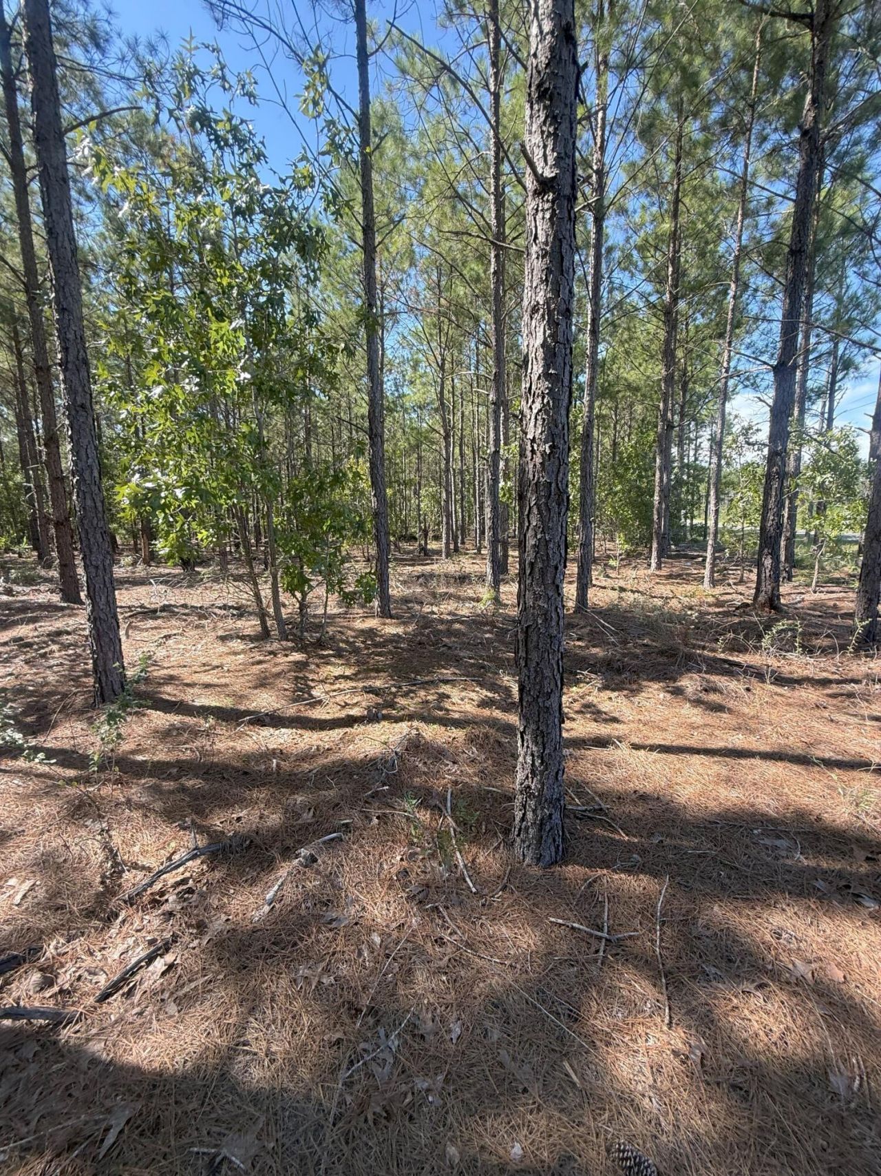 Kf 9 Providence Road Photo 15