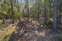 Kf 9 Providence Road photo 4