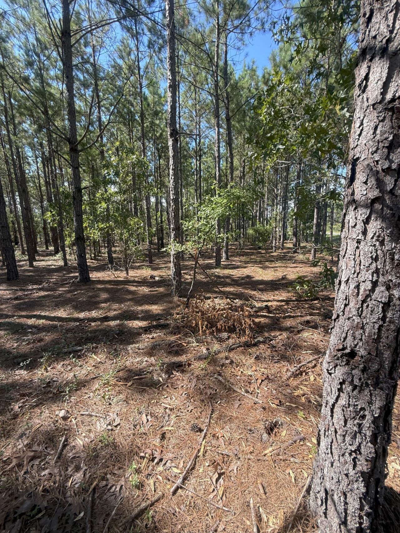 Kf 9 Providence Road Photo 5