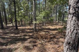 Kf 9 Providence Road photo 4