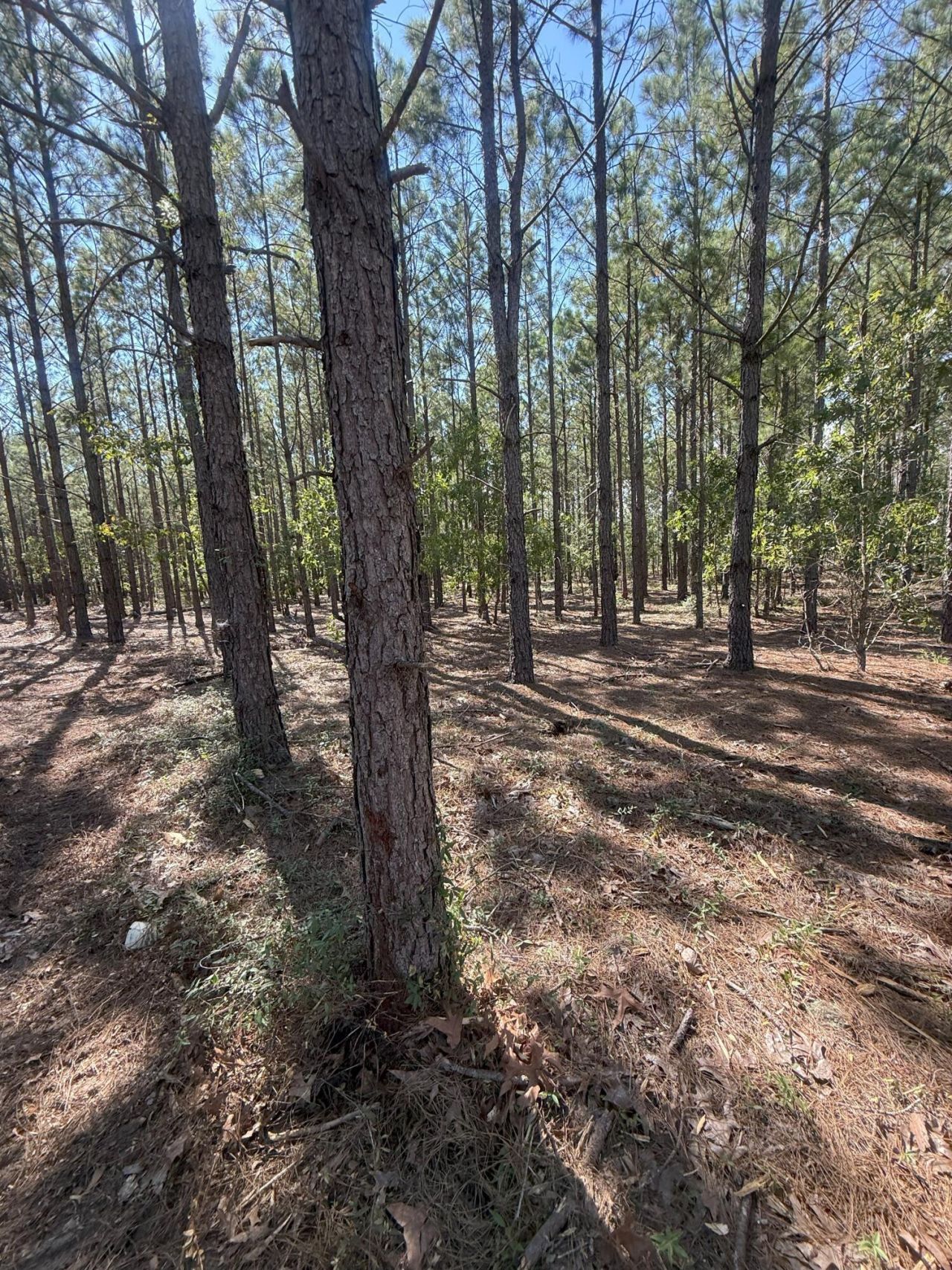 Kf 9 Providence Road Photo 6