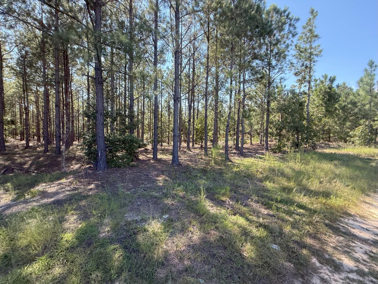 Kf 9 Providence Road Photo 9