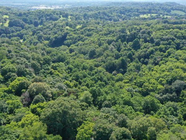 0 Strawberry Gables, Holladay, TN 38341