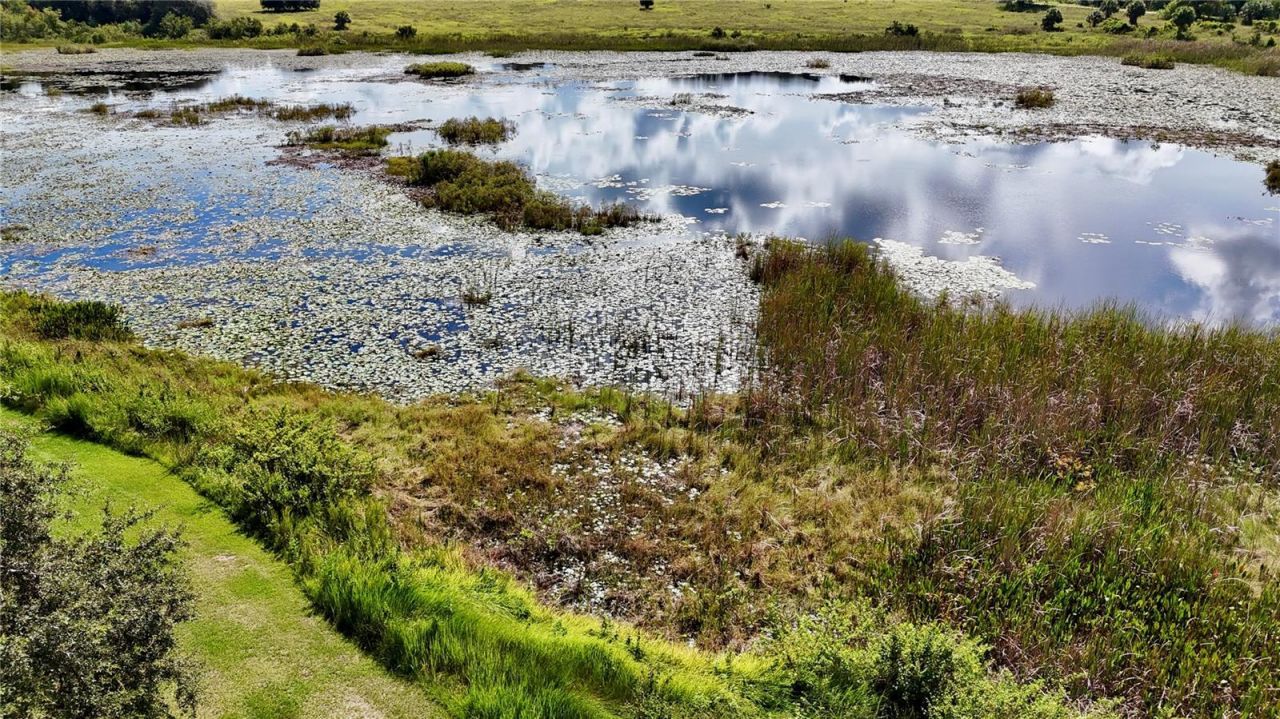 7089 Number Two Road, Yalaha, FL 34797 Photo