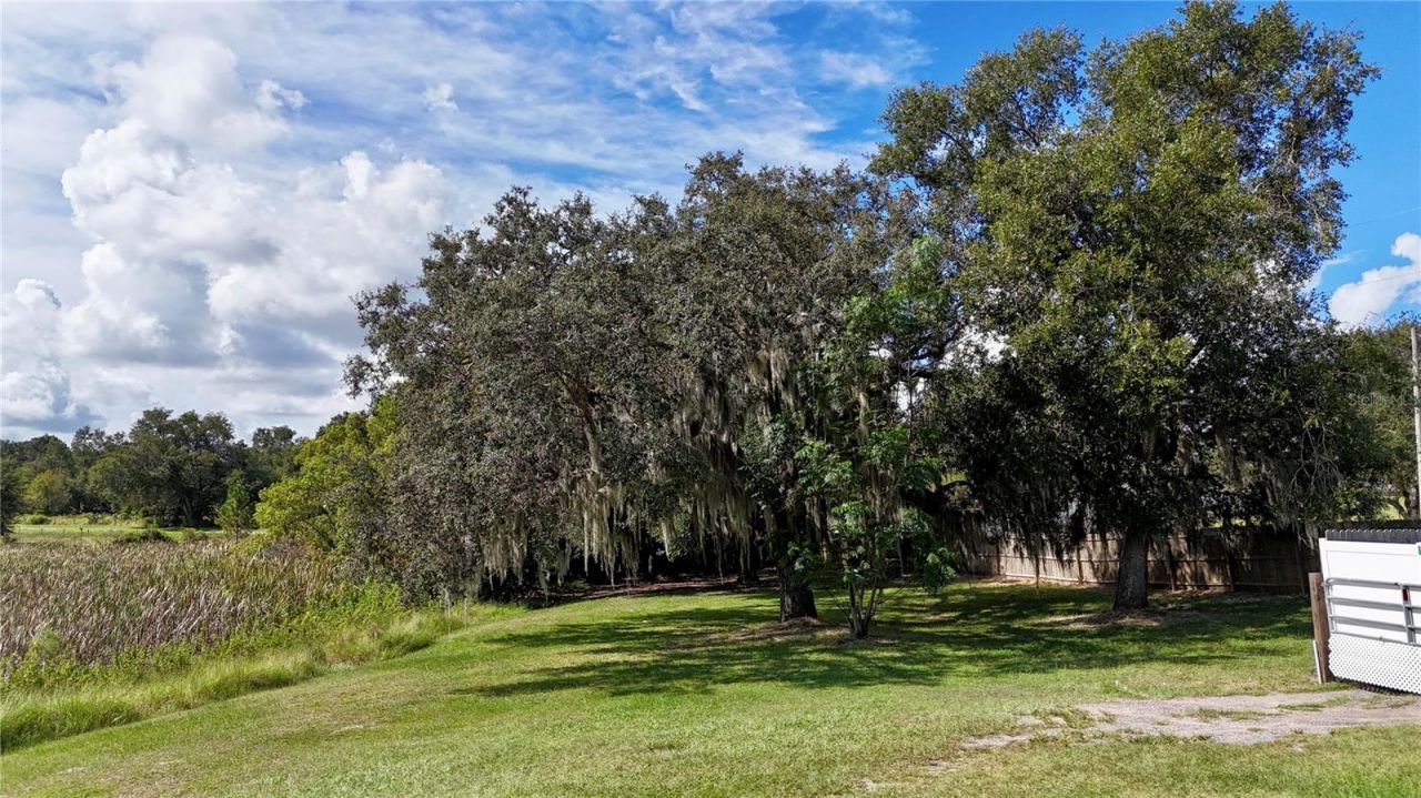 7089 Number Two Road, Yalaha, FL 34797 Photo