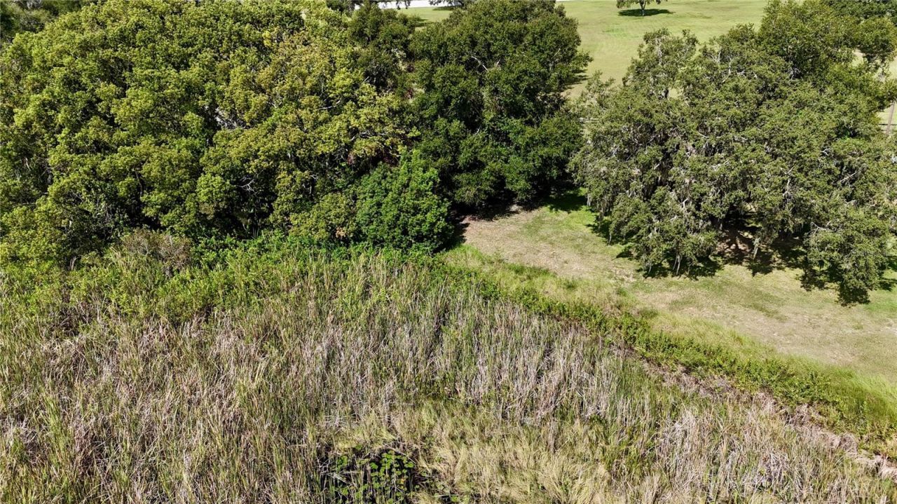 7089 Number Two Road, Yalaha, FL 34797 Photo