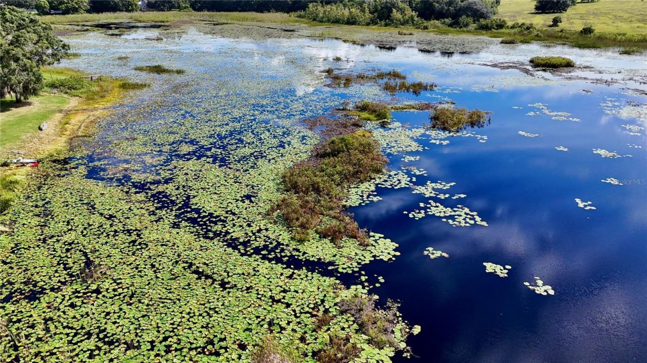 7089 Number Two Road, Yalaha, FL 34797 Photo