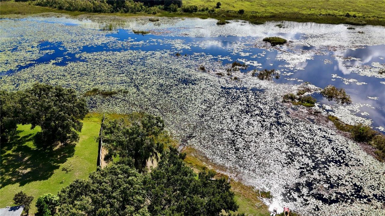 7089 Number Two Road, Yalaha, FL 34797 Photo