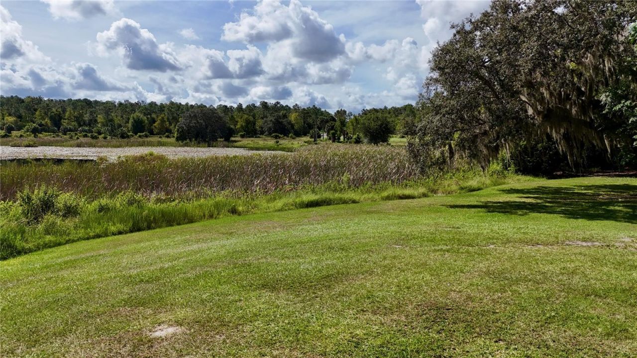 7089 Number Two Road, Yalaha, FL 34797 Photo