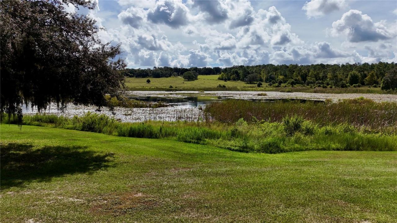 7089 Number Two Road, Yalaha, FL 34797 Photo