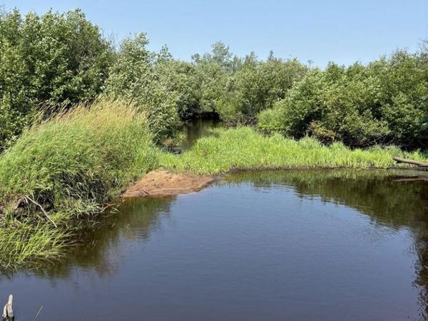 80 acres County Hwy E, Hawthorne, WI 54842