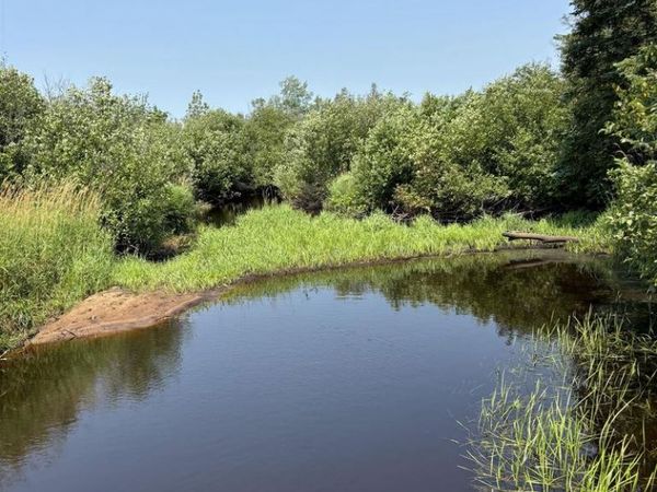 68 acres County Hwy E, Hawthorne, WI 54842